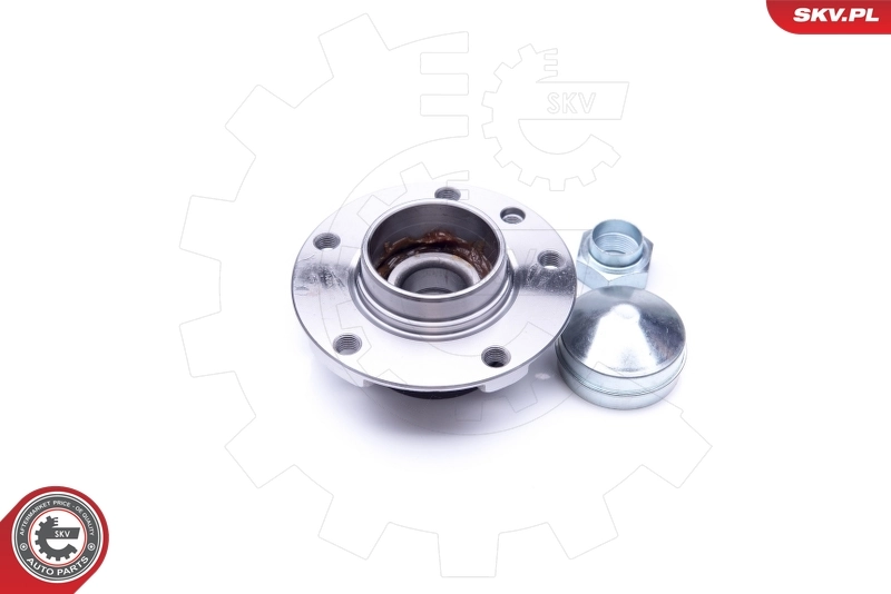 Wheel Bearing Kit
